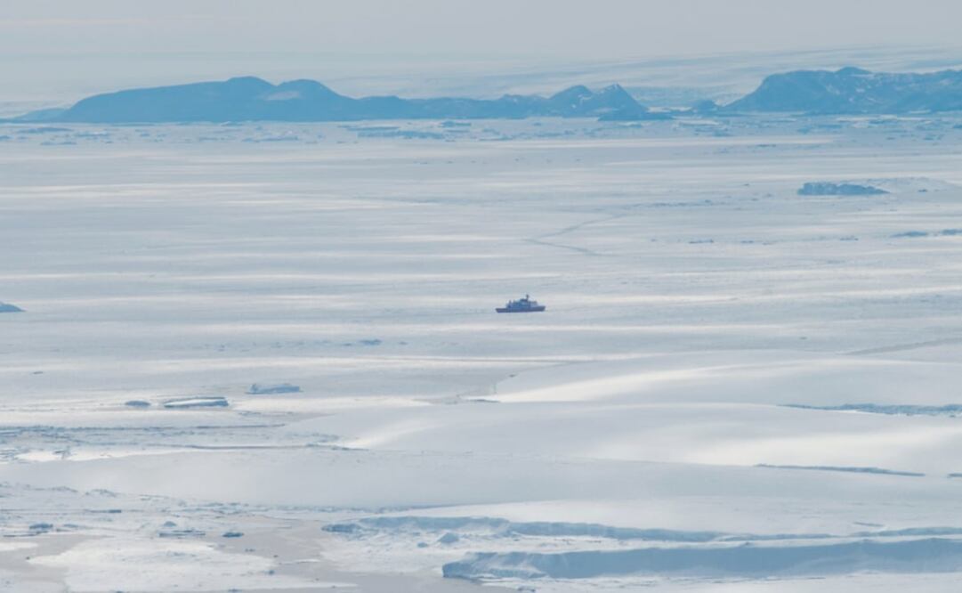 Foto: Kazuya Ono, Hokkaido University