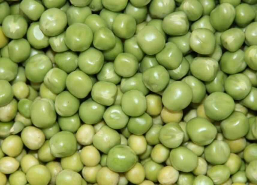 Día Mundial de las Legumbres: 10 que debes integrar a tu dieta diaria