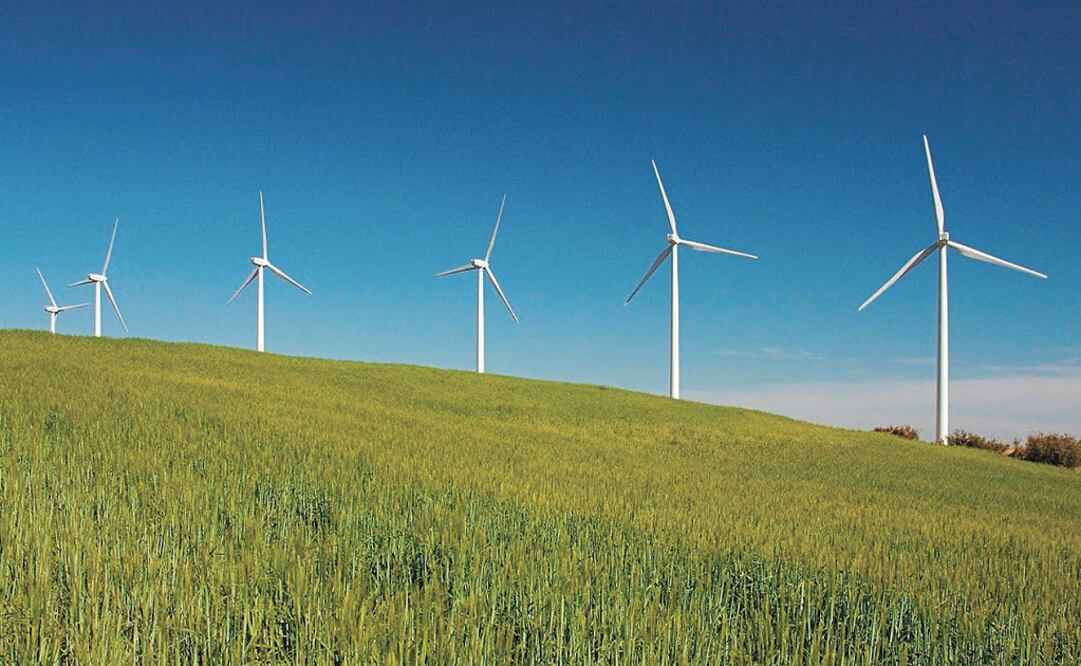 President López Obrador criticized a wind farm back in March - Photo: File Photo/EL UNIVERSAL
