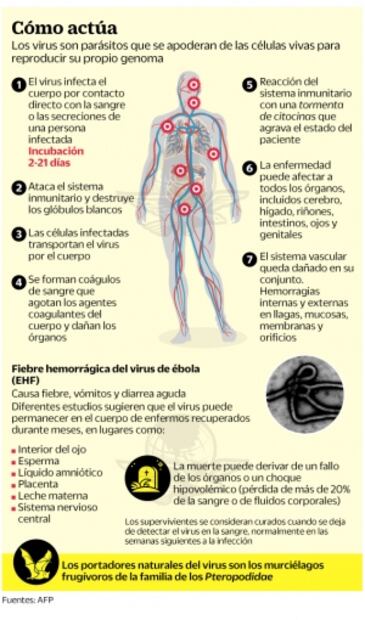 Ébola cumple un año con 1,813 muertos
