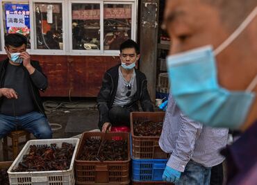 Dos estudios vuelven a apuntar al mercado de Wuhan como epicentro del Covid