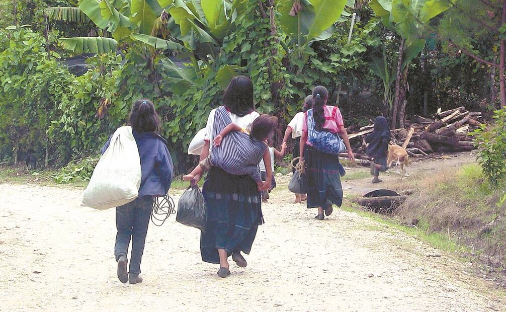 Tzotziles desplazados durante 2024 en Chiapas, denuncian abandono institucional. Foto: María de Jesús Peters / EL UNIVERSAL