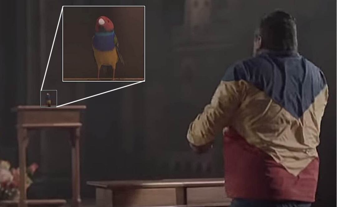 En el comercial de la telefónica WOM, un actor recrea el episodio con la coletilla "si también recibes una mala señal"   Foto: Tomada de YouTube