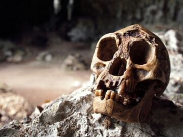 La dieta de nuestros ancestros fue más rica y variada de lo que se pensaba