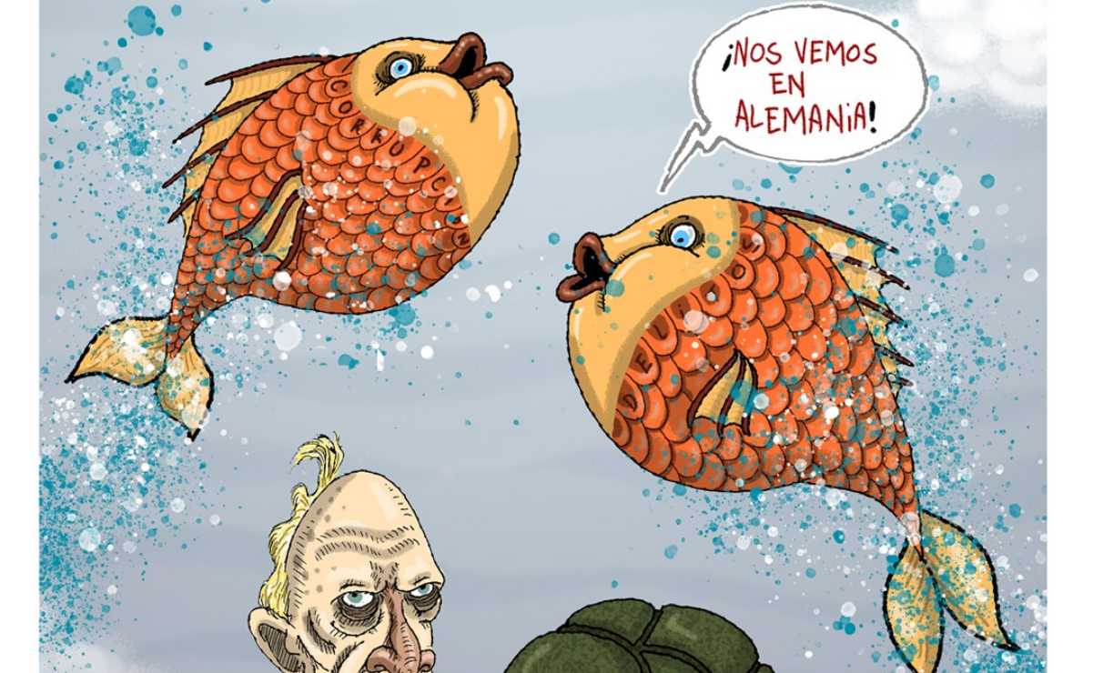 Cartón de FER