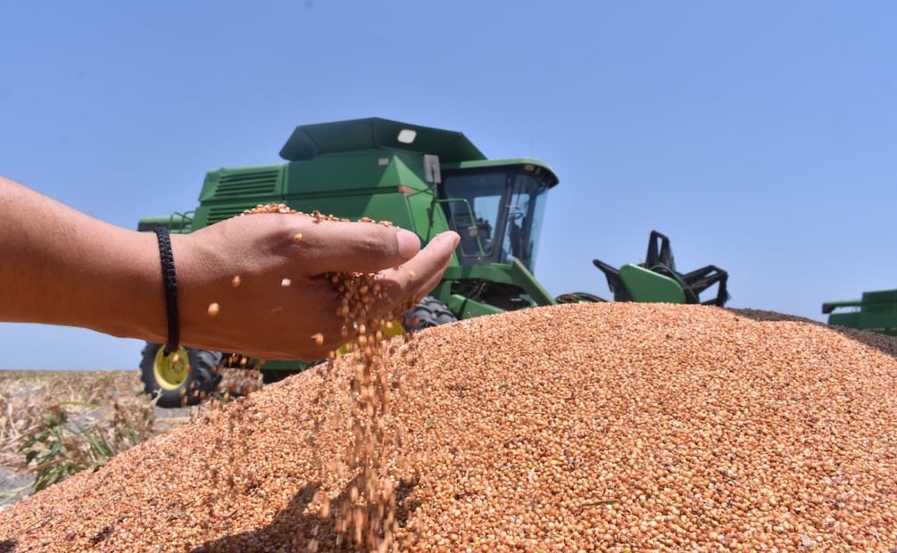 El secretario de Desarrollo Rural dijo que buscan un "campo más competitivo y sustentable” (08/08/2025). Foto: Especial