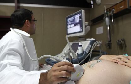 ¿El cerebro controla la ovulación? Científicos en búsqueda de mejorar la salud reproductiva