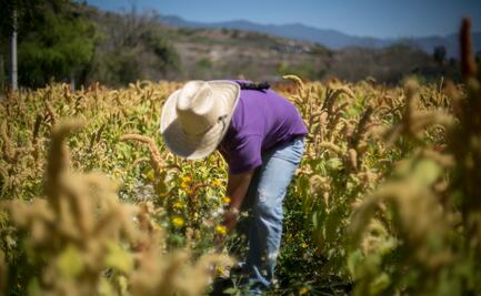 Secretaría de Agricultura supervisa acuerdos con EU en favor de productos mexicanos
