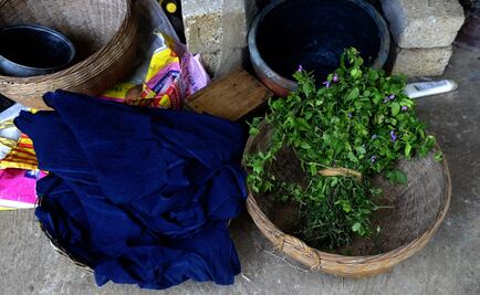 Ahora los jeans serán verdes gracias a una bacteria