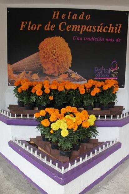 Prueba el helado de flor de cempasúchil en Coyoacán