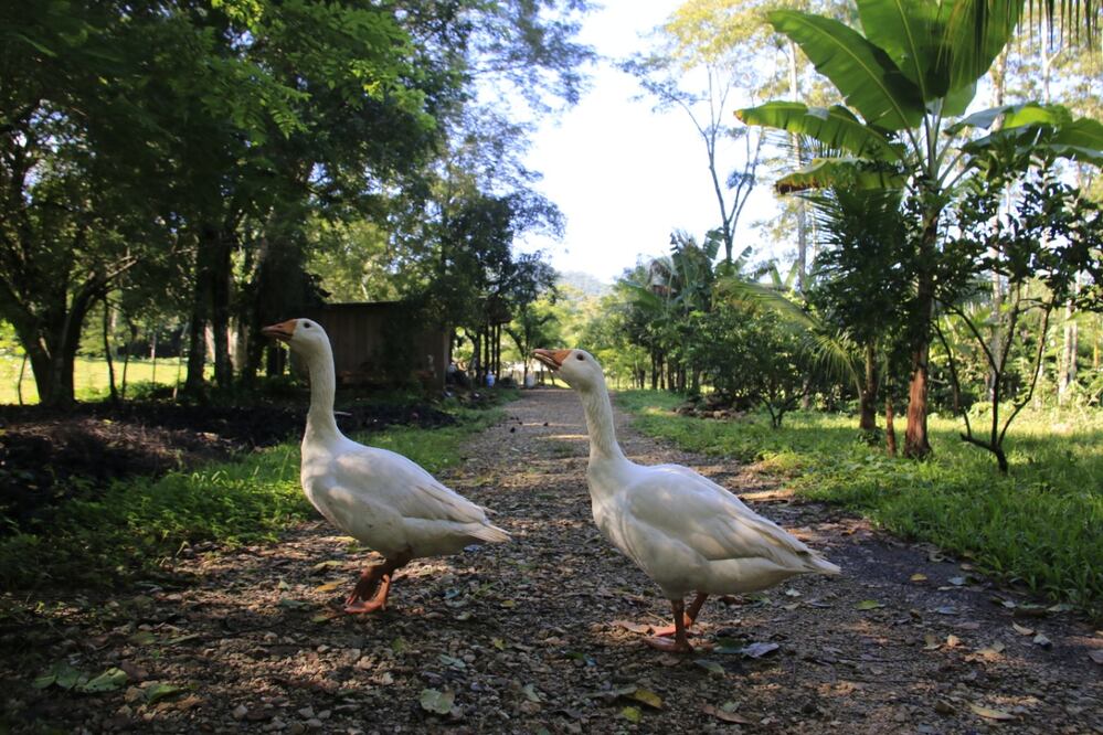 Foto: Luis Manuel López