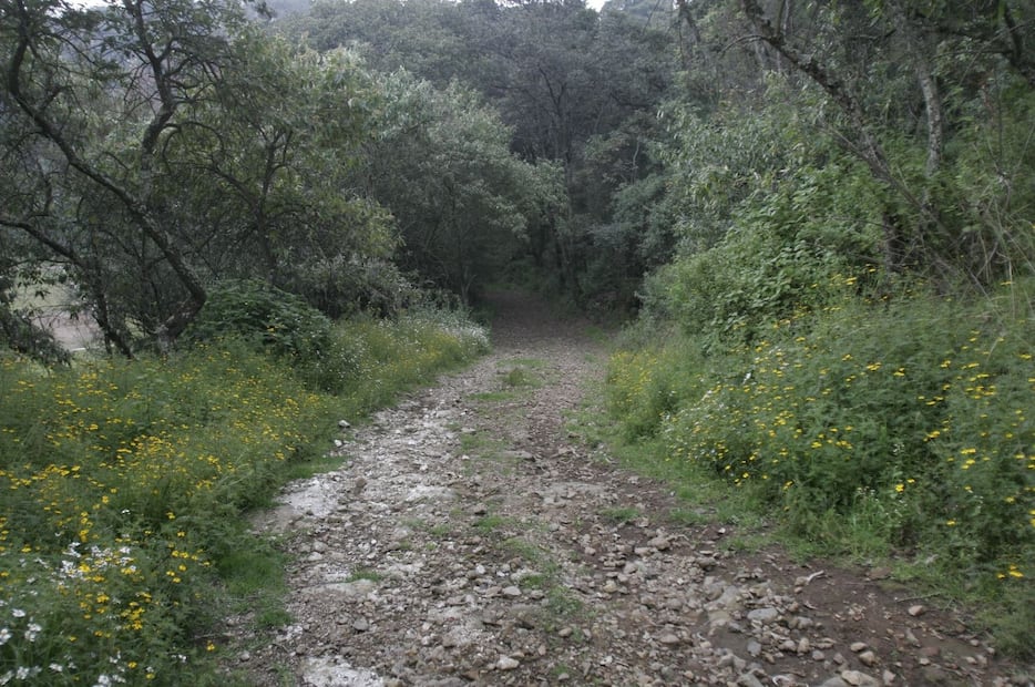 Imagen: Archivo El Universal