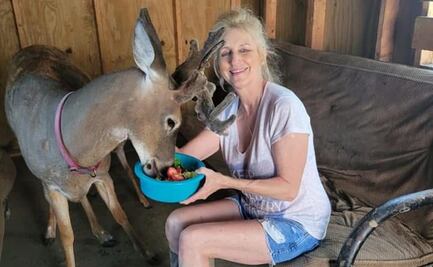 ¿Quién era Jodi Proger, activista que fue atacada por un venado que rescató?