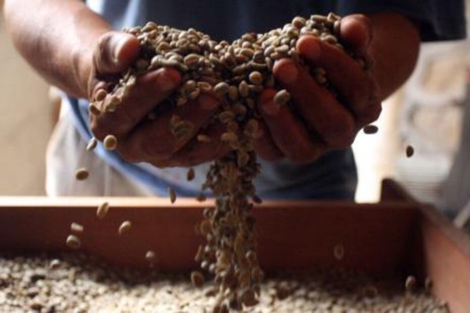 16 things which can only be produced in Mexico