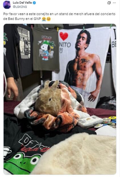 Memes del primer concierto de Bad Bunny en la CDMX. Foto: X