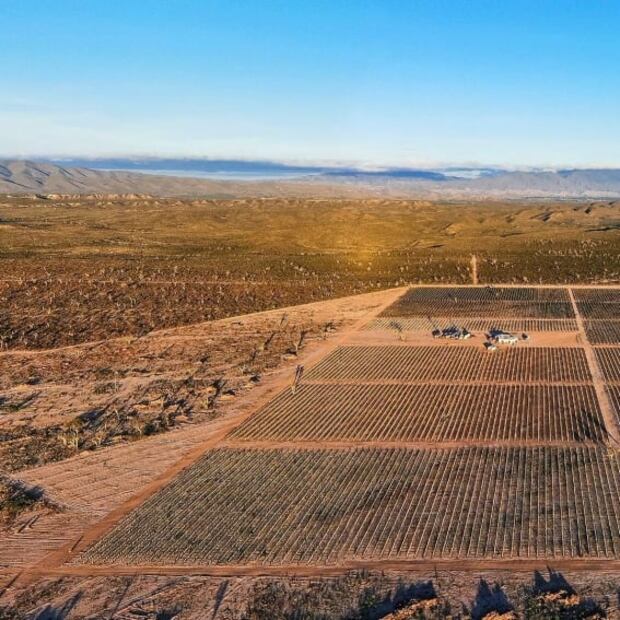 Explora la ruta de vinos en Coahuila 