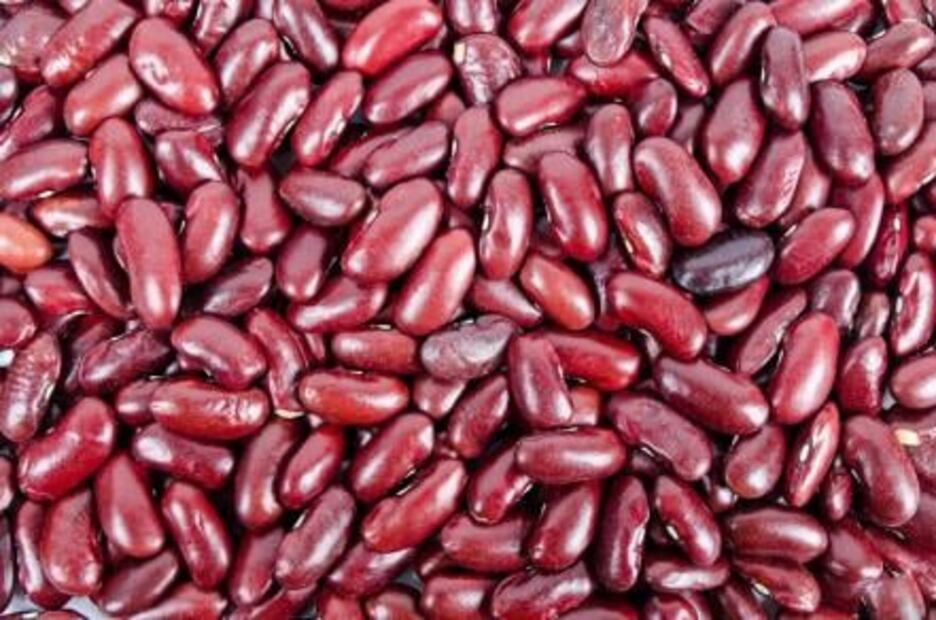 Cuántos tipos de frijoles existen y para qué guiso se utilizan 