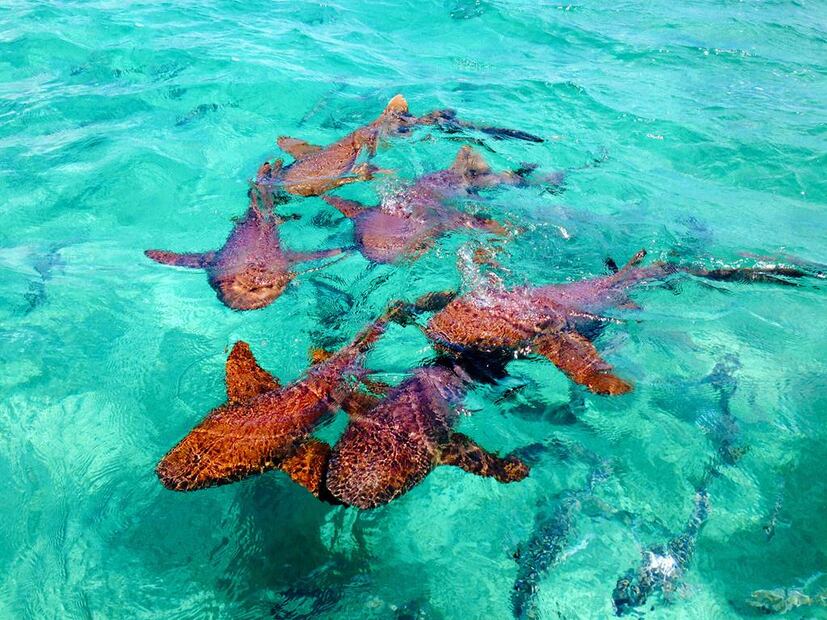 Foto: Belize Tourism Board