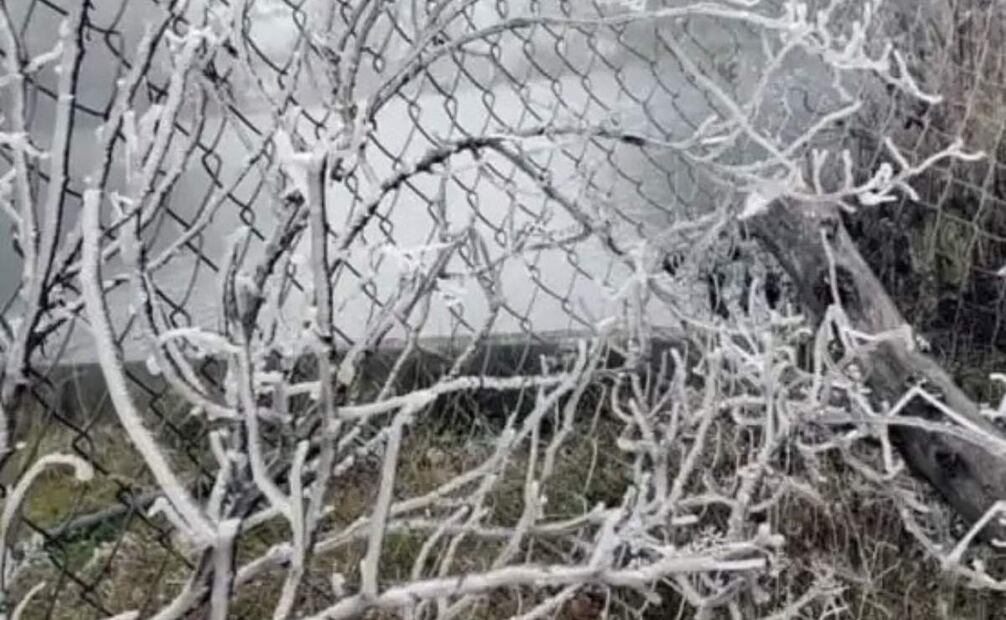Reportan aguanieve en Santiago, Nuevo León previo a entrada de frente frío (19/01/2025). Foto: Especial