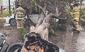 Lluvias dejan anegaciones y tiran árboles   en el Edomex