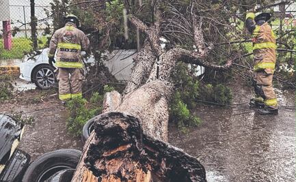 Lluvias dejan anegaciones y tiran árboles en el Edomex