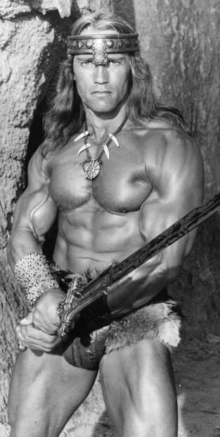 Schwarzenegger: "Me miro al espejo y me dan ganas de vomitar" 