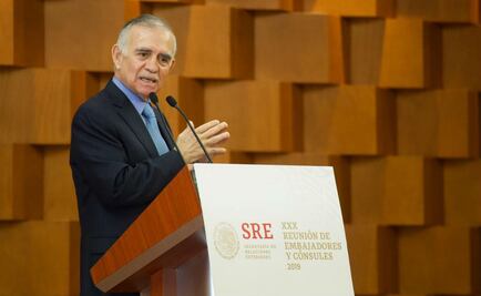 "Veo escepticismo por los errores que ha cometido el gobierno", señala Romo