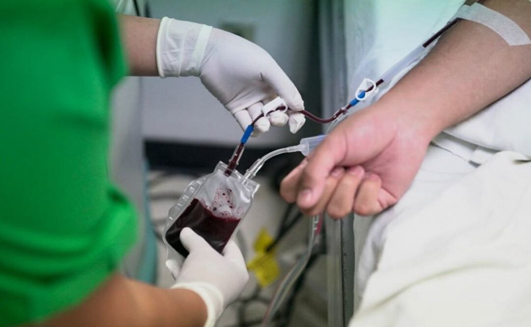 The IMSS has made a call for people to donate convalescent plasma – Photo: IMSS/ CUARTOSCURO.COM	