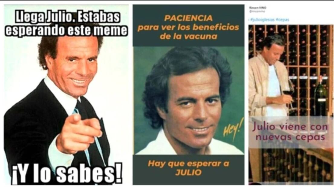 Julio Iglesias: Del éxito en el escenario a la fama como meme en las redes