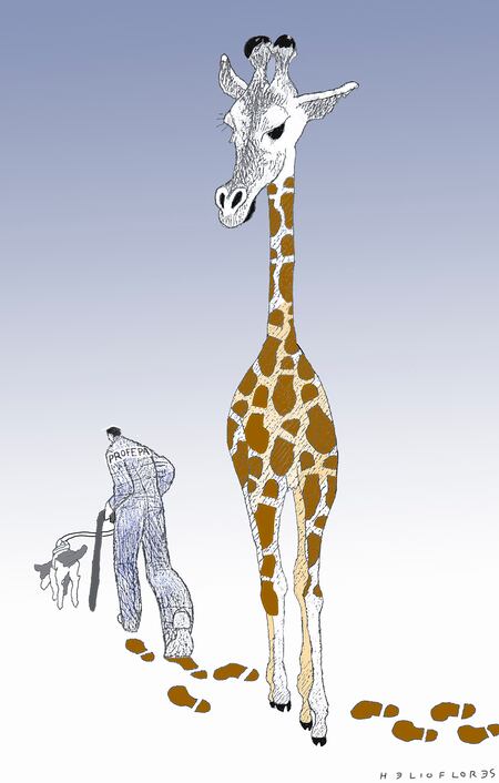 Cartón de HELIOFLORES