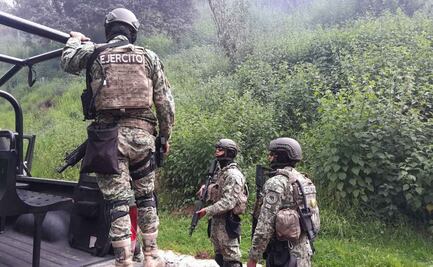 Hallan y destruyen sustancias químicas