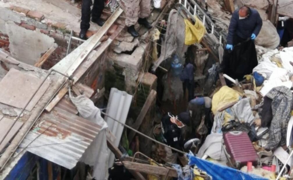 Rescatan a 14 perritos maltratados tras operativo en colonia Obrera