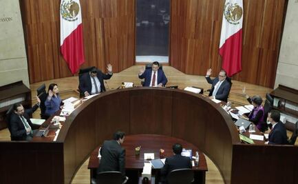 Confirma Tribunal Electoral a Ackerman para elegir consejeros 