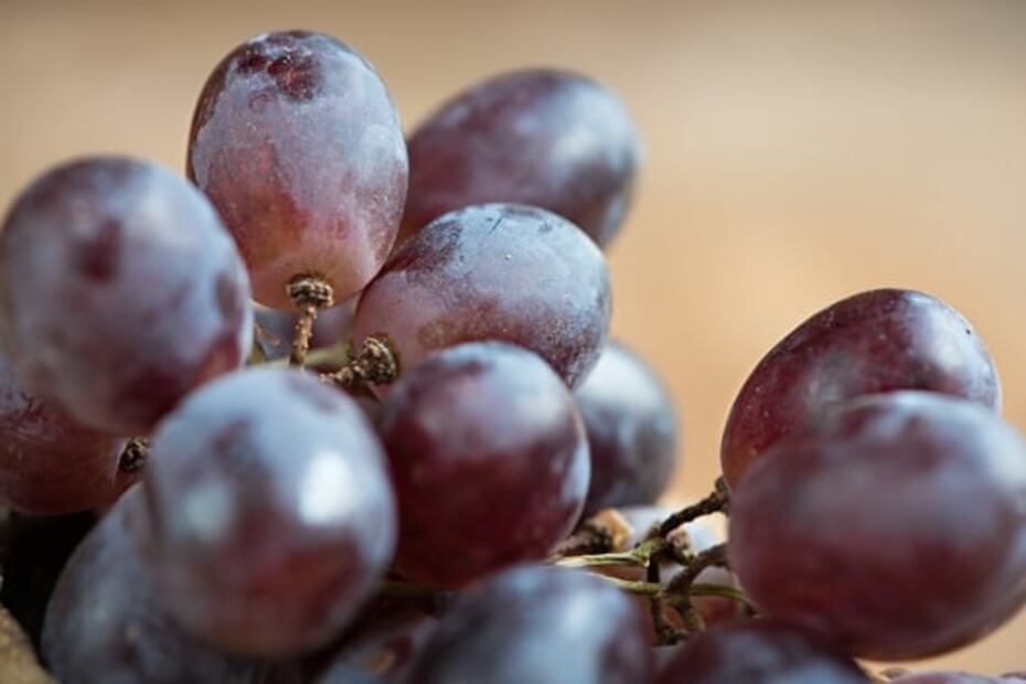 Estos son los beneficios de las uvas 