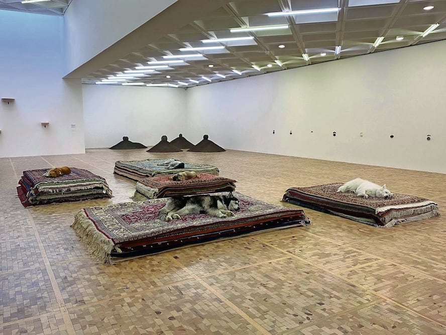 Performance Tragedy, de la artista Nina Beier, en el Museo Tamayo. Foto: del Inbal