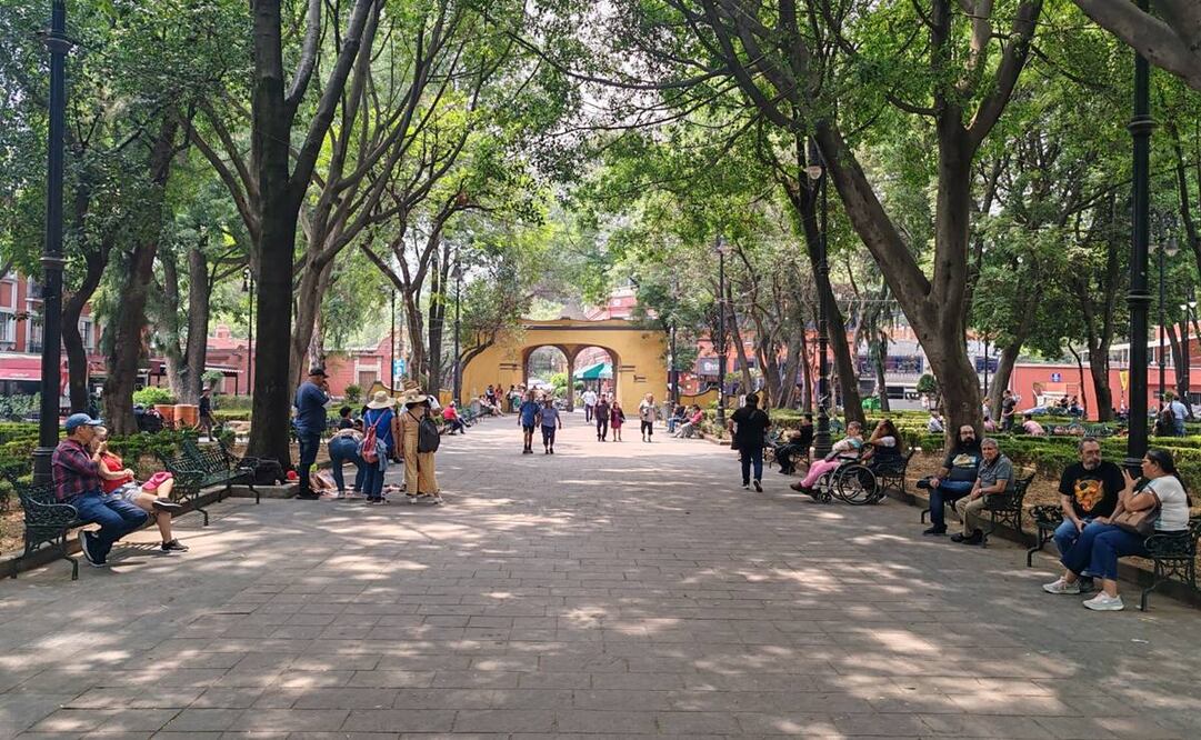 La alcaldía Coyoacán dio a conocer que de acuerdo con la información del Sistema de Comercio en Vía Pública (SISCOVIP), se han dado de baja 459 cédulas. Foto: especial