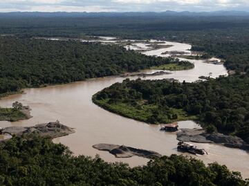 Biodiversidad en riesgo: la urgencia de financiar el futuro del planeta