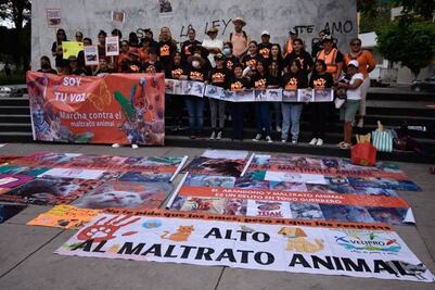 Foco rojo por crueldad animal en Yucatán; activistas exigen más que buenas intenciones para erradicar este problema