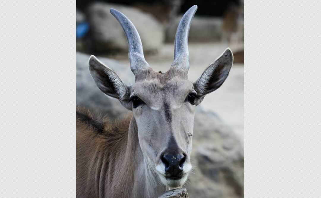 Fotografía de archivo