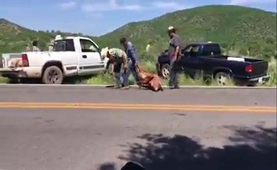 Imagen ilustrativa: Archivo/EL UNIVERSAL