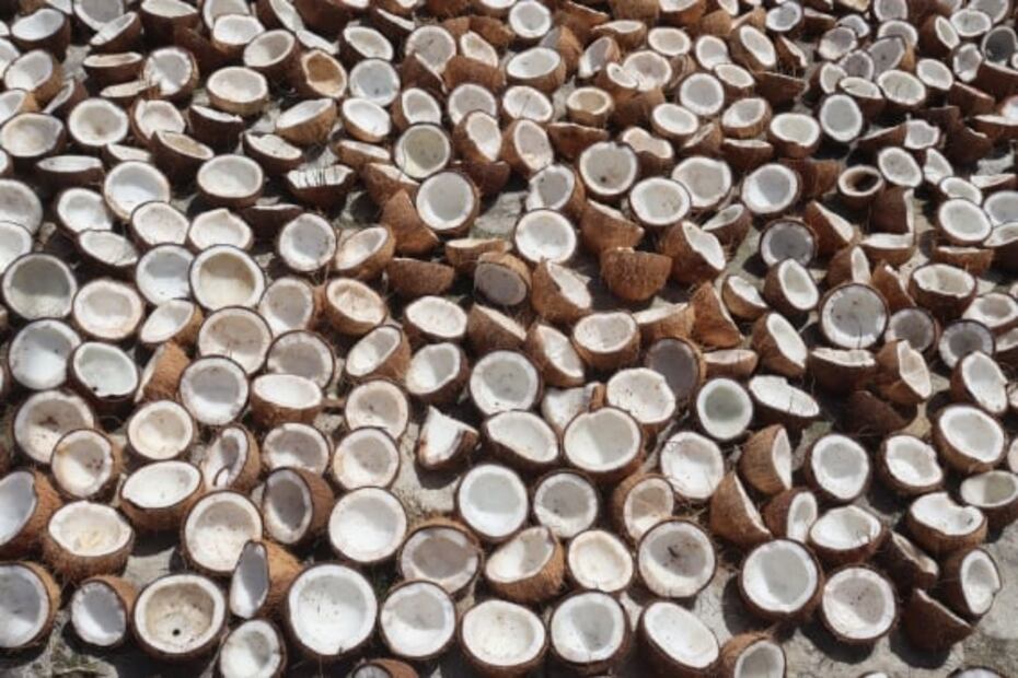 ¿Qué es la manzana de coco y dónde puedo comerla?