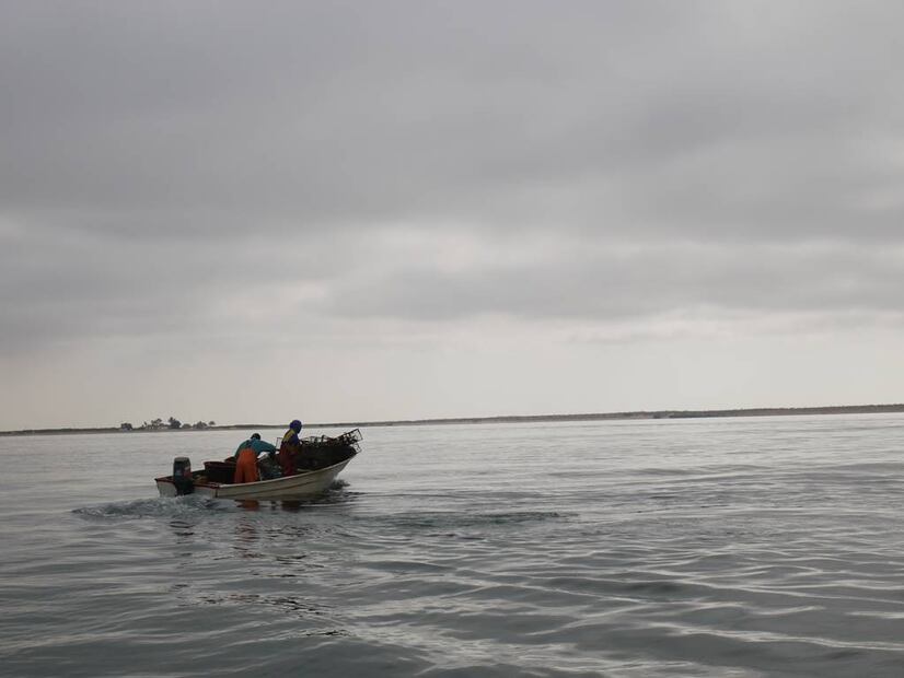 El cierre de puertos aplicará para embarcaciones menores en BCS. Foto: (INICIATIVA DATA MARES)