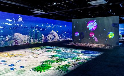 Cómo es y dónde está el acuario virtual de CDMX