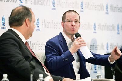 Anaya busca normar elección de líderes de órganos autónomos