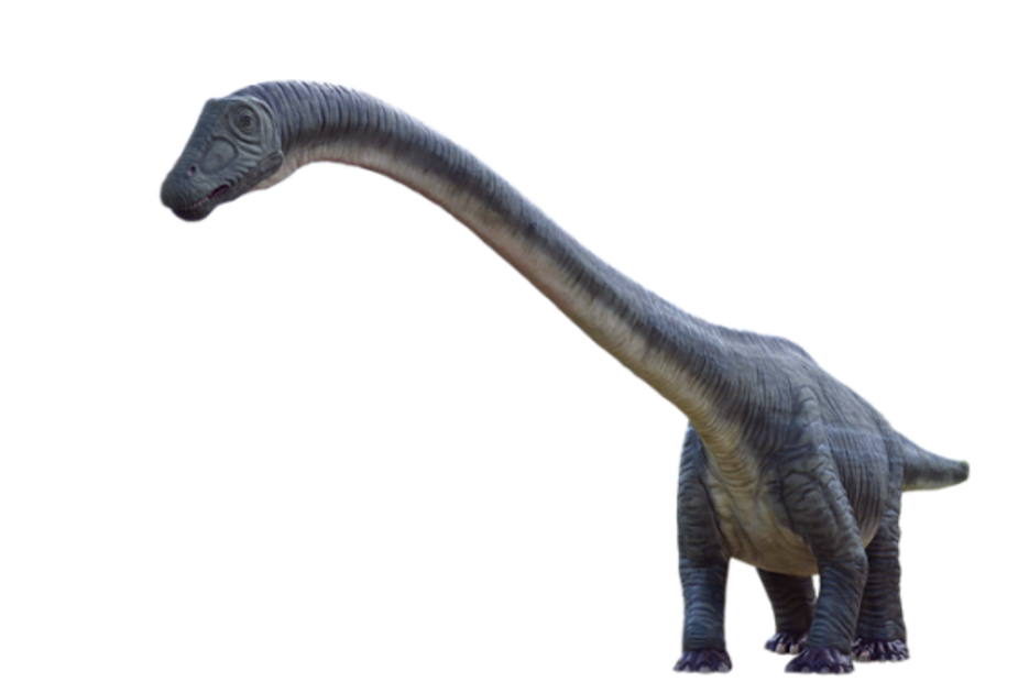 Cómo ver en Google dinosaurios en 3D