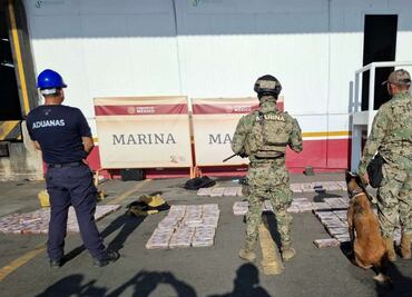 Aseguran 300 kilos de cocaína en el puerto de Lázaro Cárdenas, Michoacán; iba escondida en maletas y un costal