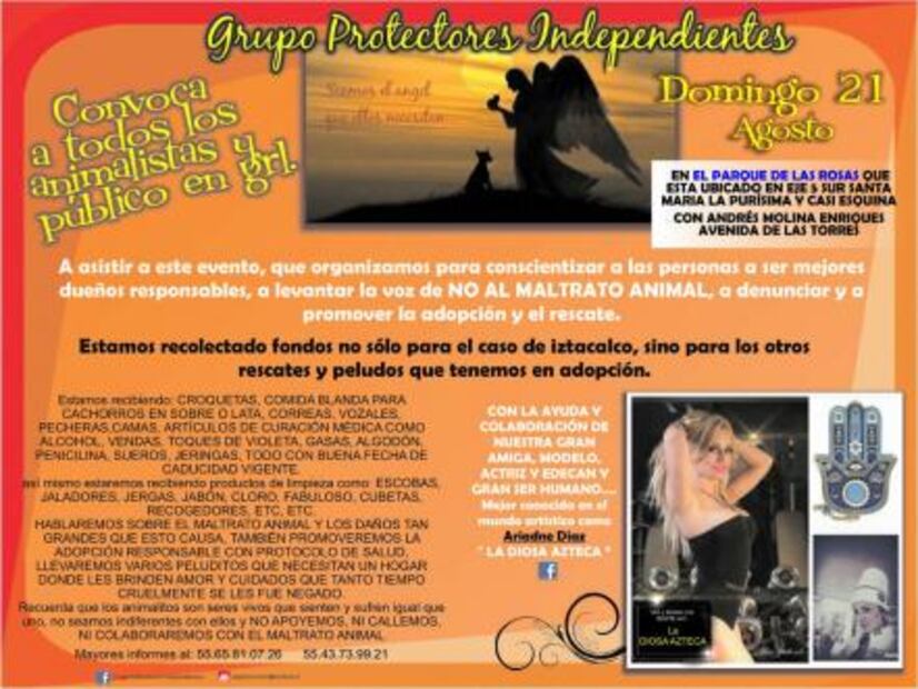 Solicitan ayuda para perritos rescatados de zoofilia