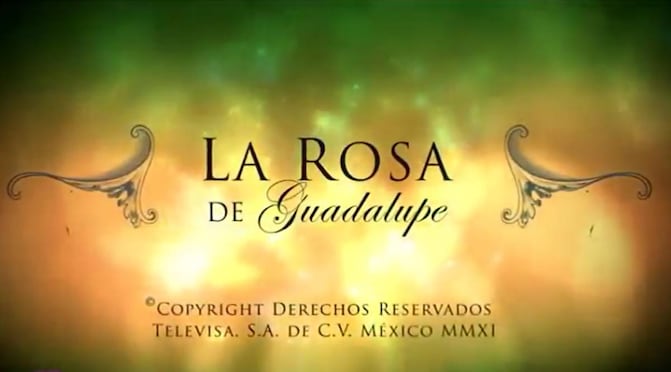 La Rosa de Guadalupe. Foto: Captura de pantalla. 