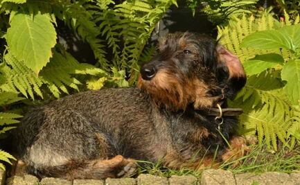 ¿A qué hora hará más calor en la CDMX este jueves 19 de octubre?