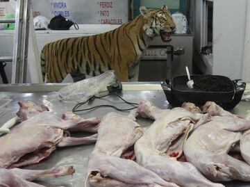 Consumo de carne no convencional ayuda a conservar especies animales